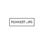 P1000157.JPG